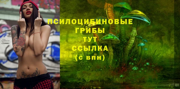 экстази Нязепетровск