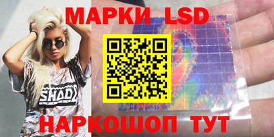 прущие грибы Будённовск