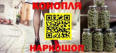 прущие грибы Будённовск