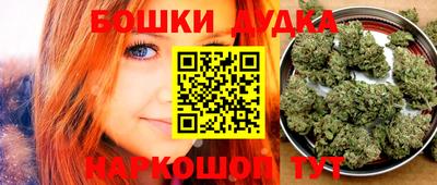 крисы Заводоуковск