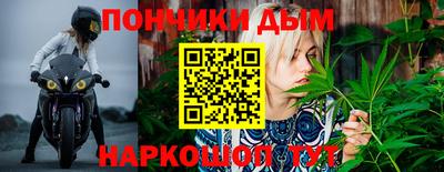 сатива Заволжье