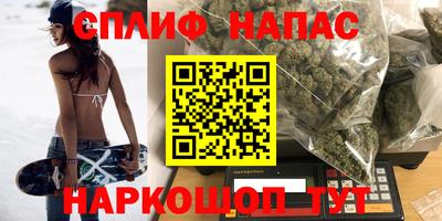 прущие грибы Будённовск