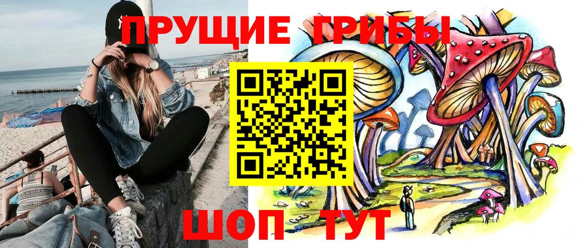 Ржев  Псилоцибиновые грибы ЛСД  Вход с VPN 