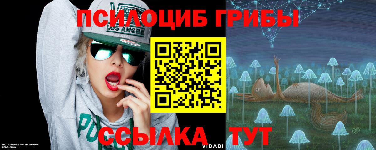 Псилоцибиновые грибы Cubensis  где можно купить   Ржев 